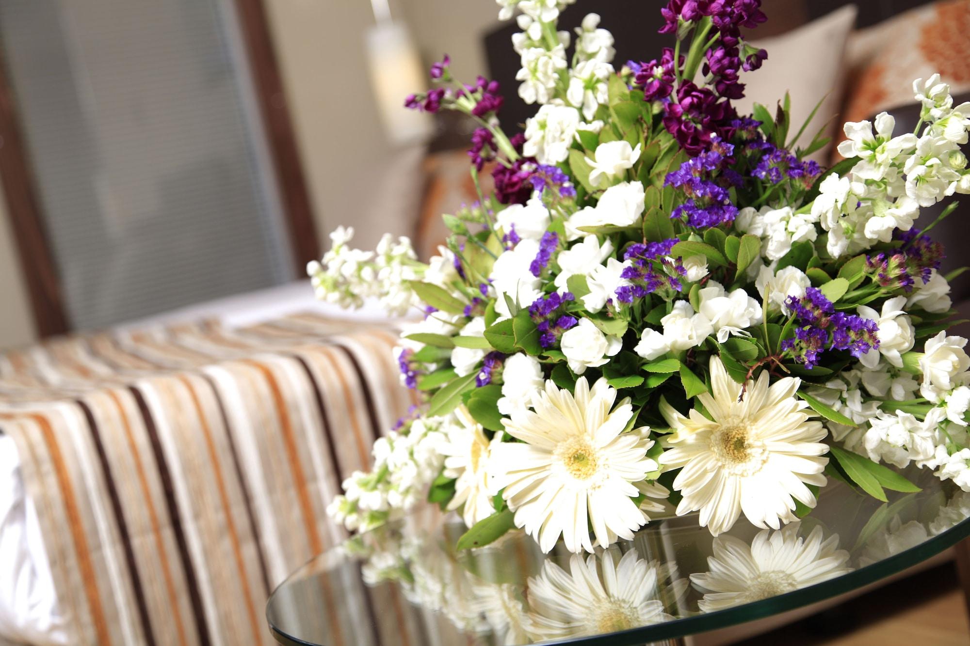 מלון Kolin & Convention Center 5*